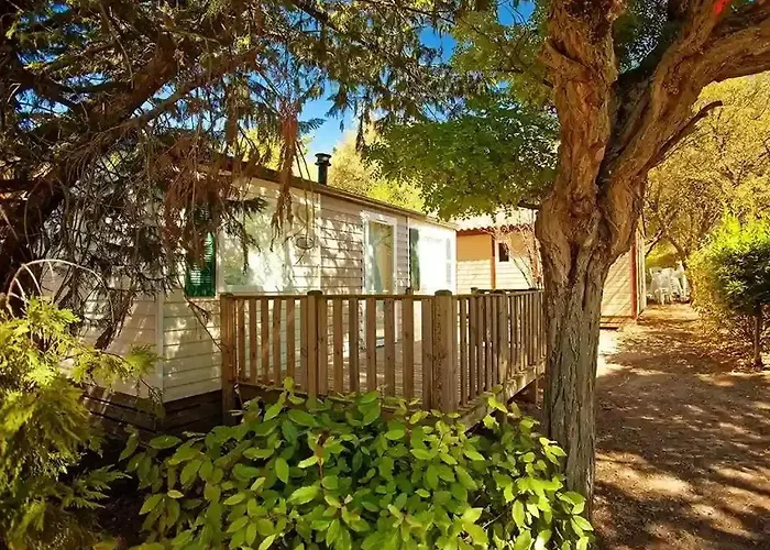 Κάμπινγκ 3 Etoiles - Piscine - Ccbefeg